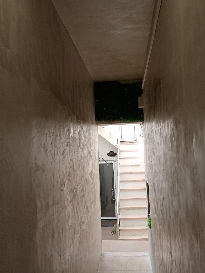 Estudio Dos Bones Nazaré Kültér fotó